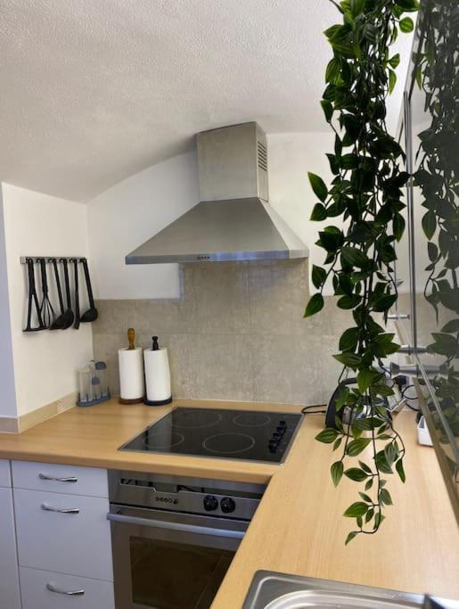 Spacious Flat In The Most Desirable Area Of Лондон Экстерьер фото